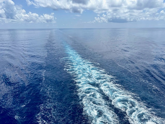 $ave on . . .&nbsp;Cruises!